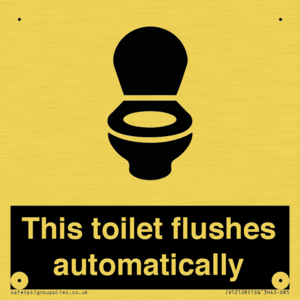 This toilet flushes automatically